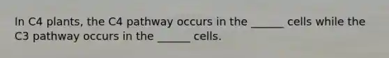 In C4 plants, the C4 pathway occurs in the ______ cells while the C3 pathway occurs in the ______ cells.