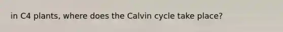 in C4 plants, where does the Calvin cycle take place?