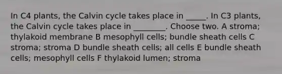 In C4 plants, the Calvin cycle takes place in _____. In C3 plants, the Calvin cycle takes place in ________. Choose two. A stroma; thylakoid membrane B mesophyll cells; bundle sheath cells C stroma; stroma D bundle sheath cells; all cells E bundle sheath cells; mesophyll cells F thylakoid lumen; stroma