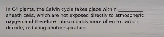 In C4 plants, the Calvin cycle takes place within ___________ sheath cells, which are not exposed directly to atmospheric oxygen and therefore rubisco binds more often to carbon dioxide, reducing photorespiration.