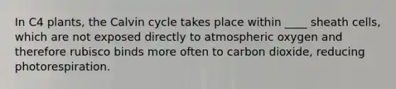 In C4 plants, the Calvin cycle takes place within ____ sheath cells, which are not exposed directly to atmospheric oxygen and therefore rubisco binds more often to carbon dioxide, reducing photorespiration.