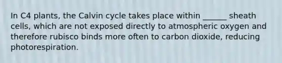 In C4 plants, the Calvin cycle takes place within ______ sheath cells, which are not exposed directly to atmospheric oxygen and therefore rubisco binds more often to carbon dioxide, reducing photorespiration.