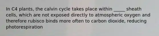 In C4 plants, the calvin cycle takes place within _____ sheath cells, which are not exposed directly to atmospheric oxygen and therefore rubisco binds more often to carbon dioxide, reducing photorespiration