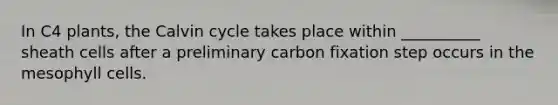 In C4 plants, the Calvin cycle takes place within __________ sheath cells after a preliminary carbon fixation step occurs in the mesophyll cells.