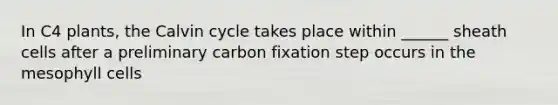 In C4 plants, the Calvin cycle takes place within ______ sheath cells after a preliminary carbon fixation step occurs in the mesophyll cells