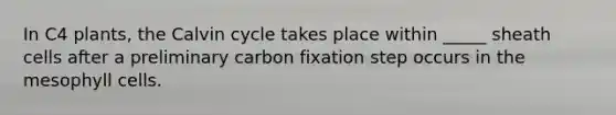 In C4 plants, the Calvin cycle takes place within _____ sheath cells after a preliminary carbon fixation step occurs in the mesophyll cells.