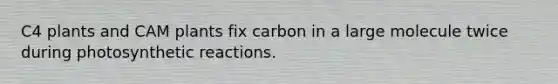 C4 plants and CAM plants fix carbon in a large molecule twice during photosynthetic reactions.