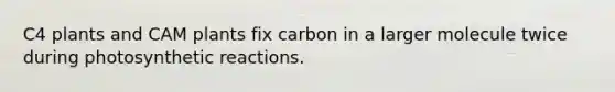 C4 plants and CAM plants fix carbon in a larger molecule twice during photosynthetic reactions.