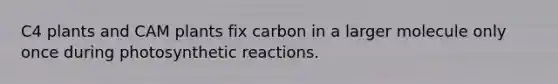 C4 plants and CAM plants fix carbon in a larger molecule only once during photosynthetic reactions.