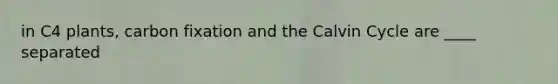 in C4 plants, carbon fixation and the Calvin Cycle are ____ separated