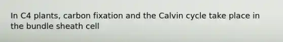 In C4 plants, carbon fixation and the Calvin cycle take place in the bundle sheath cell