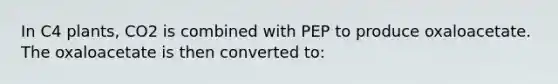 In C4 plants, CO2 is combined with PEP to produce oxaloacetate. The oxaloacetate is then converted to: