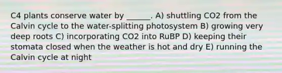 C4 plants conserve water by ______. A) shuttling CO2 from the Calvin cycle to the water-splitting photosystem B) growing very deep roots C) incorporating CO2 into RuBP D) keeping their stomata closed when the weather is hot and dry E) running the Calvin cycle at night