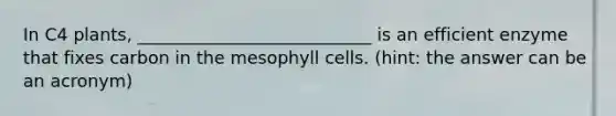 In C4 plants, ___________________________ is an efficient enzyme that fixes carbon in the mesophyll cells. (hint: the answer can be an acronym)