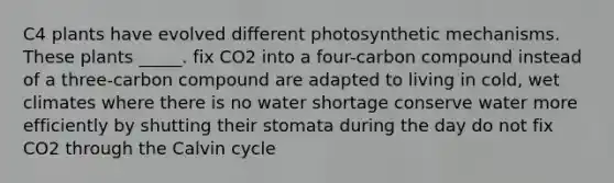 C4 plants have evolved different photosynthetic mechanisms. These plants _____. fix CO2 into a four-carbon compound instead of a three-carbon compound are adapted to living in cold, wet climates where there is no water shortage conserve water more efficiently by shutting their stomata during the day do not fix CO2 through the Calvin cycle