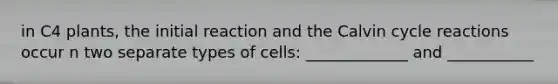 in C4 plants, the initial reaction and the Calvin cycle reactions occur n two separate types of cells: _____________ and ___________