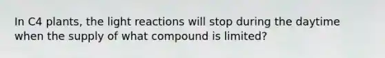 In C4 plants, the light reactions will stop during the daytime when the supply of what compound is limited?