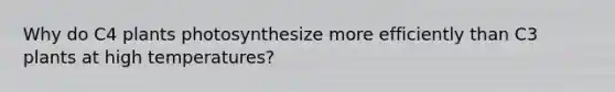 Why do C4 plants photosynthesize more efficiently than C3 plants at high temperatures?