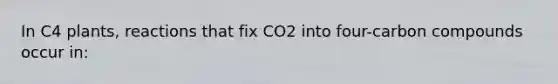 In C4 plants, reactions that fix CO2 into four-carbon compounds occur in: