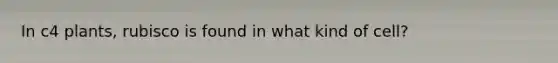 In c4 plants, rubisco is found in what kind of cell?
