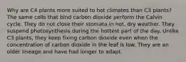 Why are C4 plants more suited to hot climates than C3 plants? The same cells that bind carbon dioxide perform the Calvin cycle. They do not close their stomata in hot, dry weather. They suspend photosynthesis during the hottest part of the day. Unlike C3 plants, they keep fixing carbon dioxide even when the concentration of carbon dioxide in the leaf is low. They are an older lineage and have had longer to adapt.