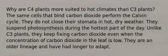 Why are C4 plants more suited to hot climates than C3 plants? The same cells that bind carbon dioxide perform the Calvin cycle. They do not close their stomata in hot, dry weather. They suspend photosynthesis during the hottest part of the day. Unlike C3 plants, they keep fixing carbon dioxide even when the concentration of carbon dioxide in the leaf is low. They are an older lineage and have had longer to adapt.