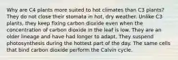 Why are C4 plants more suited to hot climates than C3 plants? They do not close their stomata in hot, dry weather. Unlike C3 plants, they keep fixing carbon dioxide even when the concentration of carbon dioxide in the leaf is low. They are an older lineage and have had longer to adapt. They suspend photosynthesis during the hottest part of the day. The same cells that bind carbon dioxide perform the Calvin cycle.