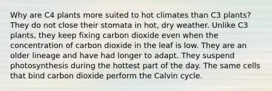 Why are C4 plants more suited to hot climates than C3 plants? They do not close their stomata in hot, dry weather. Unlike C3 plants, they keep fixing carbon dioxide even when the concentration of carbon dioxide in the leaf is low. They are an older lineage and have had longer to adapt. They suspend photosynthesis during the hottest part of the day. The same cells that bind carbon dioxide perform the Calvin cycle.