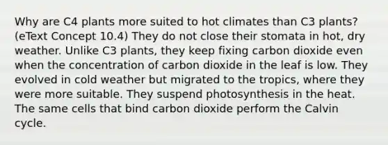 Why are C4 plants more suited to hot climates than C3 plants? (eText Concept 10.4) They do not close their stomata in hot, dry weather. Unlike C3 plants, they keep fixing carbon dioxide even when the concentration of carbon dioxide in the leaf is low. They evolved in cold weather but migrated to the tropics, where they were more suitable. They suspend photosynthesis in the heat. The same cells that bind carbon dioxide perform the Calvin cycle.