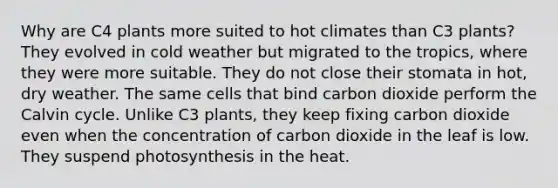 Why are C4 plants more suited to hot climates than C3 plants? They evolved in cold weather but migrated to the tropics, where they were more suitable. They do not close their stomata in hot, dry weather. The same cells that bind carbon dioxide perform the Calvin cycle. Unlike C3 plants, they keep fixing carbon dioxide even when the concentration of carbon dioxide in the leaf is low. They suspend photosynthesis in the heat.