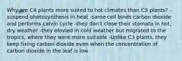 Why are C4 plants more suited to hot climates than C3 plants? -suspend photosynthesis in heat -same cell binds carbon dioxide and performs calvin cycle -they don't close their stomata in hot, dry weather -they elovled in cold weather but migrated to the tropics, where they were more suitable -Unlike C3 plants, they keep fixing carbon dioxide even when the concentration of carbon dioxide in the leaf is low