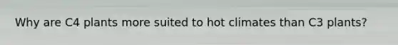 Why are C4 plants more suited to hot climates than C3 plants?