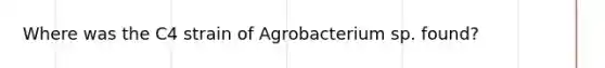 Where was the C4 strain of Agrobacterium sp. found?