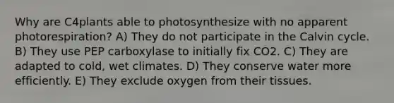 Why are C4plants able to photosynthesize with no apparent photorespiration? A) They do not participate in the Calvin cycle. B) They use PEP carboxylase to initially fix CO2. C) They are adapted to cold, wet climates. D) They conserve water more efficiently. E) They exclude oxygen from their tissues.