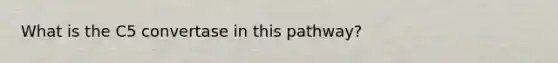 What is the C5 convertase in this pathway?