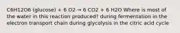 C6H12O6 (glucose) + 6 O2 → 6 CO2 + 6 H2O Where is most of the water in this reaction produced? during fermentation in the electron transport chain during glycolysis in the citric acid cycle