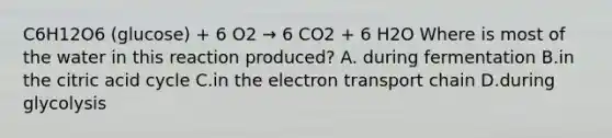 C6H12O6 (glucose) + 6 O2 → 6 CO2 + 6 H2O Where is most of the water in this reaction produced? A. during fermentation B.in the citric acid cycle C.in <a href='https://www.questionai.com/knowledge/k57oGBr0HP-the-electron-transport-chain' class='anchor-knowledge'>the electron transport chain</a> D.during glycolysis