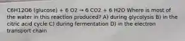 C6H12O6 (glucose) + 6 O2 → 6 CO2 + 6 H2O Where is most of the water in this reaction produced? A) during glycolysis B) in the citric acid cycle C) during fermentation D) in the electron transport chain