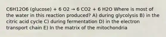 C6H12O6 (glucose) + 6 O2 → 6 CO2 + 6 H2O Where is most of the water in this reaction produced? A) during glycolysis B) in the citric acid cycle C) during fermentation D) in the electron transport chain E) In the matrix of the mitochondria