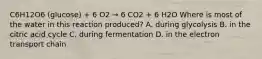 C6H12O6 (glucose) + 6 O2 → 6 CO2 + 6 H2O Where is most of the water in this reaction produced? A. during glycolysis B. in the citric acid cycle C. during fermentation D. in the electron transport chain