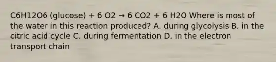 C6H12O6 (glucose) + 6 O2 → 6 CO2 + 6 H2O Where is most of the water in this reaction produced? A. during glycolysis B. in the citric acid cycle C. during fermentation D. in <a href='https://www.questionai.com/knowledge/k57oGBr0HP-the-electron-transport-chain' class='anchor-knowledge'>the electron transport chain</a>