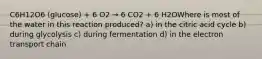 C6H12O6 (glucose) + 6 O2 → 6 CO2 + 6 H2OWhere is most of the water in this reaction produced? a) in the citric acid cycle b) during glycolysis c) during fermentation d) in the electron transport chain