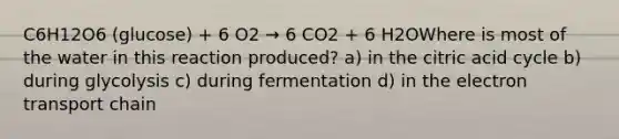 C6H12O6 (glucose) + 6 O2 → 6 CO2 + 6 H2OWhere is most of the water in this reaction produced? a) in the citric acid cycle b) during glycolysis c) during fermentation d) in <a href='https://www.questionai.com/knowledge/k57oGBr0HP-the-electron-transport-chain' class='anchor-knowledge'>the electron transport chain</a>