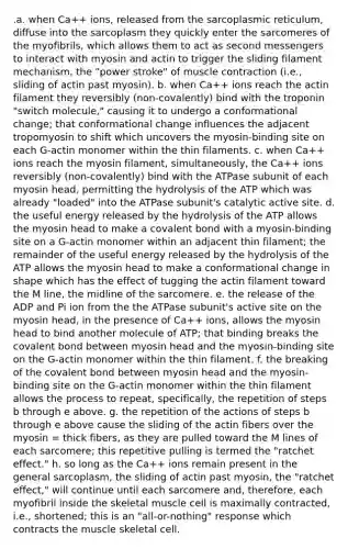 .a. when Ca++ ions, released from the sarcoplasmic reticulum, diffuse into the sarcoplasm they quickly enter the sarcomeres of the myofibrils, which allows them to act as second messengers to interact with myosin and actin to trigger the sliding filament mechanism, the "power stroke" of muscle contraction (i.e., sliding of actin past myosin). b. when Ca++ ions reach the actin filament they reversibly (non-covalently) bind with the troponin "switch molecule," causing it to undergo a conformational change; that conformational change influences the adjacent tropomyosin to shift which uncovers the myosin-binding site on each G-actin monomer within the thin filaments. c. when Ca++ ions reach the myosin filament, simultaneously, the Ca++ ions reversibly (non-covalently) bind with the ATPase subunit of each myosin head, permitting the hydrolysis of the ATP which was already "loaded" into the ATPase subunit's catalytic active site. d. the useful energy released by the hydrolysis of the ATP allows the myosin head to make a covalent bond with a myosin-binding site on a G-actin monomer within an adjacent thin filament; the remainder of the useful energy released by the hydrolysis of the ATP allows the myosin head to make a conformational change in shape which has the effect of tugging the actin filament toward the M line, the midline of the sarcomere. e. the release of the ADP and Pi ion from the the ATPase subunit's active site on the myosin head, in the presence of Ca++ ions, allows the myosin head to bind another molecule of ATP; that binding breaks the covalent bond between myosin head and the myosin-binding site on the G-actin monomer within the thin filament. f. the breaking of the covalent bond between myosin head and the myosin-binding site on the G-actin monomer within the thin filament allows the process to repeat, specifically, the repetition of steps b through e above. g. the repetition of the actions of steps b through e above cause the sliding of the actin fibers over the myosin = thick fibers, as they are pulled toward the M lines of each sarcomere; this repetitive pulling is termed the "ratchet effect." h. so long as the Ca++ ions remain present in the general sarcoplasm, the sliding of actin past myosin, the "ratchet effect," will continue until each sarcomere and, therefore, each myofibril inside the skeletal muscle cell is maximally contracted, i.e., shortened; this is an "all-or-nothing" response which contracts the muscle skeletal cell.