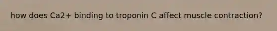 how does Ca2+ binding to troponin C affect muscle contraction?