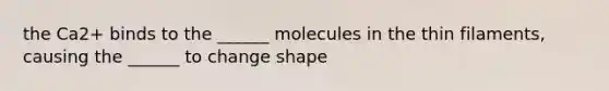 the Ca2+ binds to the ______ molecules in the thin filaments, causing the ______ to change shape