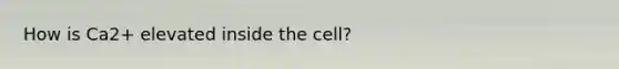 How is Ca2+ elevated inside the cell?