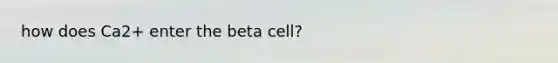 how does Ca2+ enter the beta cell?