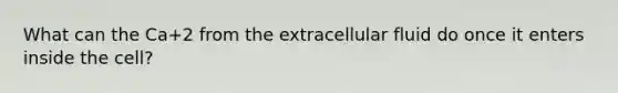 What can the Ca+2 from the extracellular fluid do once it enters inside the cell?