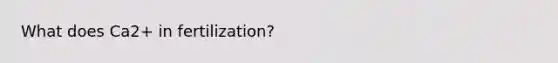 What does Ca2+ in fertilization?